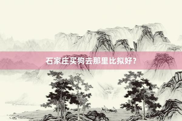 石家庄买狗去那里比拟好?
